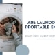 Are laundromats profitable