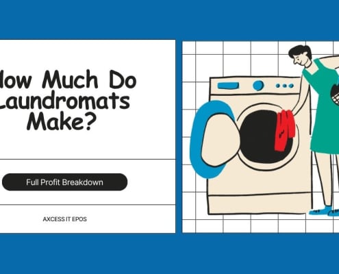 Average laundromat monthly earnings in 2025
