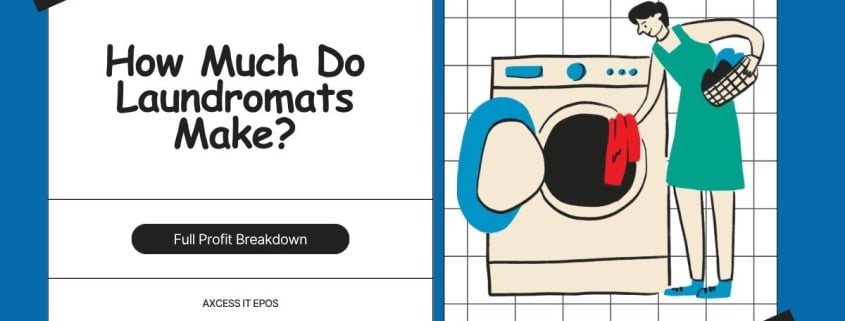 Average laundromat monthly earnings in 2025